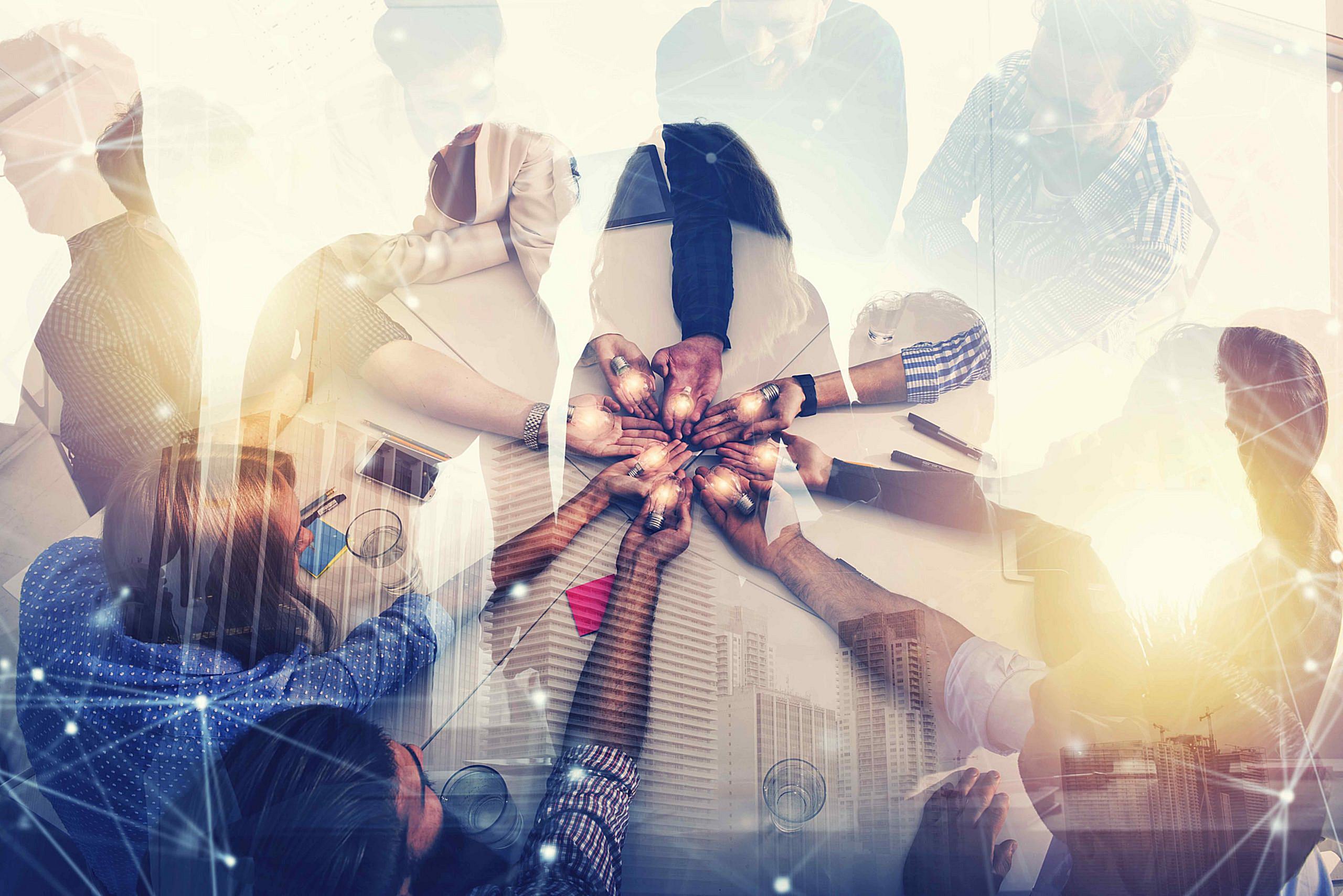 Wilson Web Wilson Web